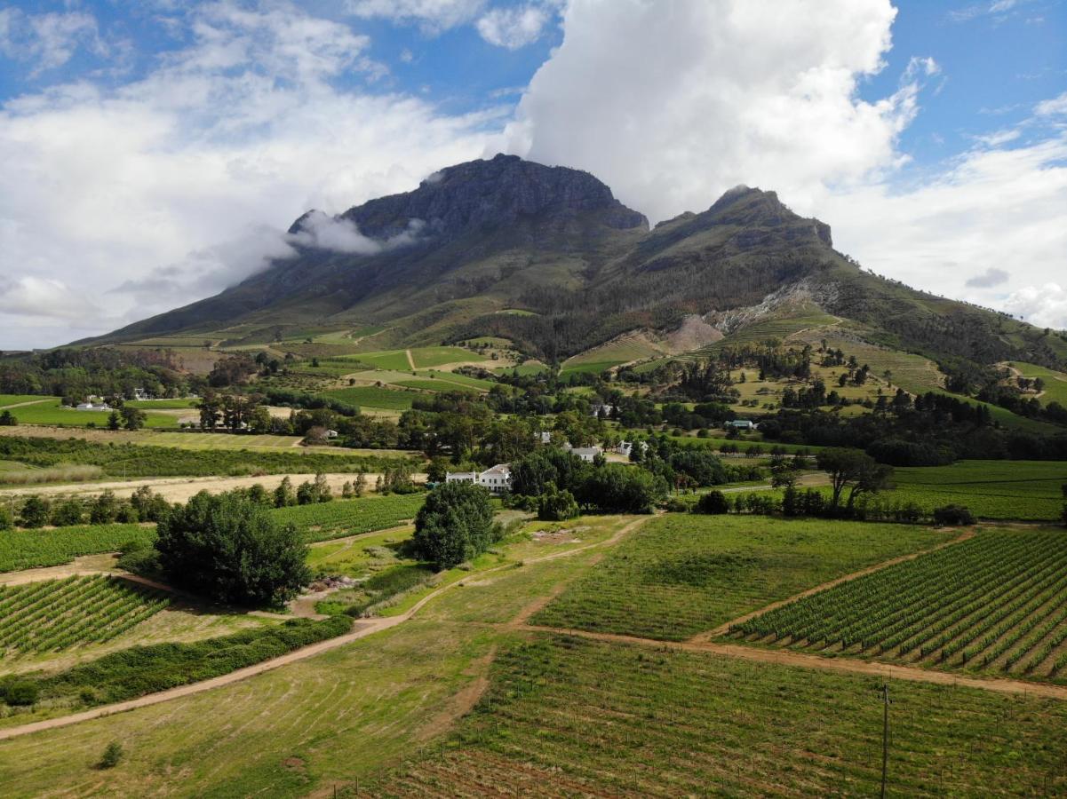 Le Pommier Wine Estate Villa Stellenbosch Exterior photo