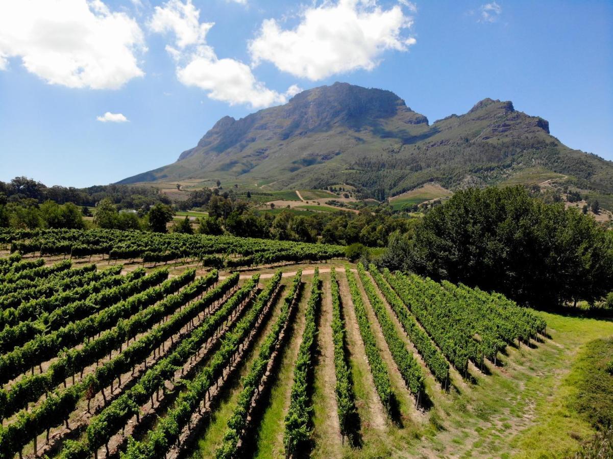 Le Pommier Wine Estate Villa Stellenbosch Exterior photo