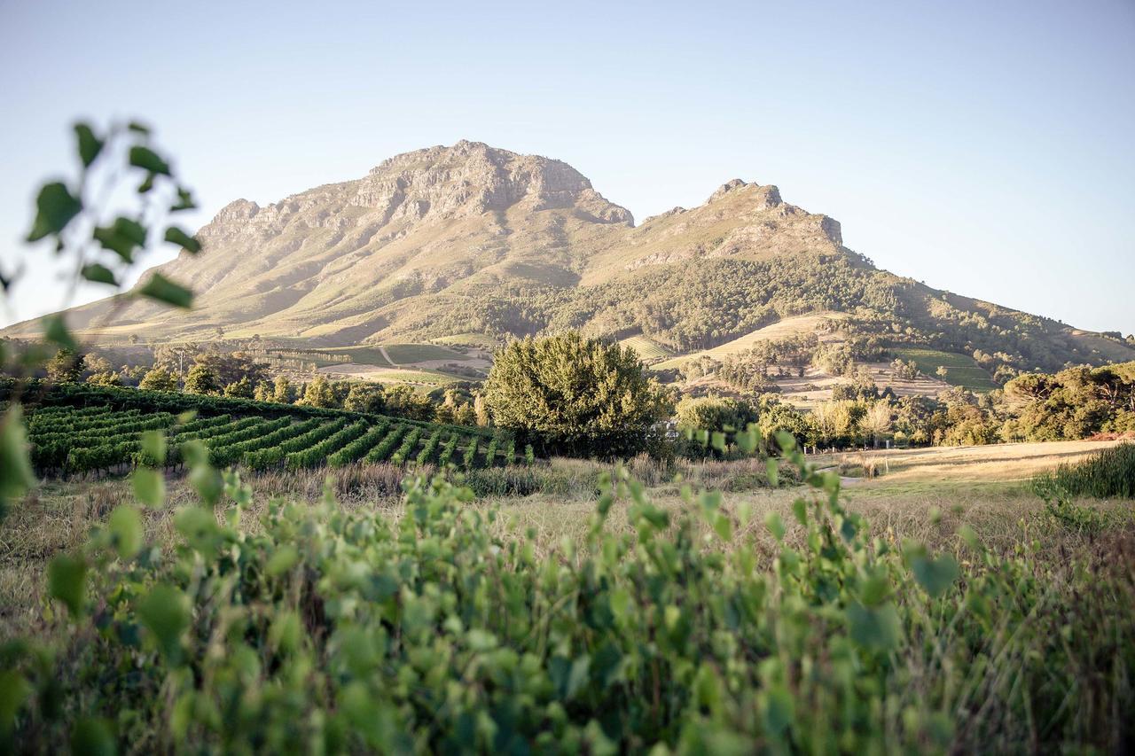 Le Pommier Wine Estate Villa Stellenbosch Exterior photo