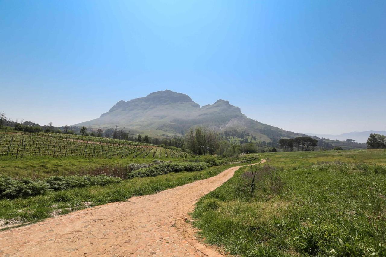 Le Pommier Wine Estate Villa Stellenbosch Exterior photo
